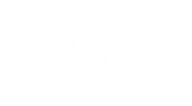 Transparent Connected Schools Logo