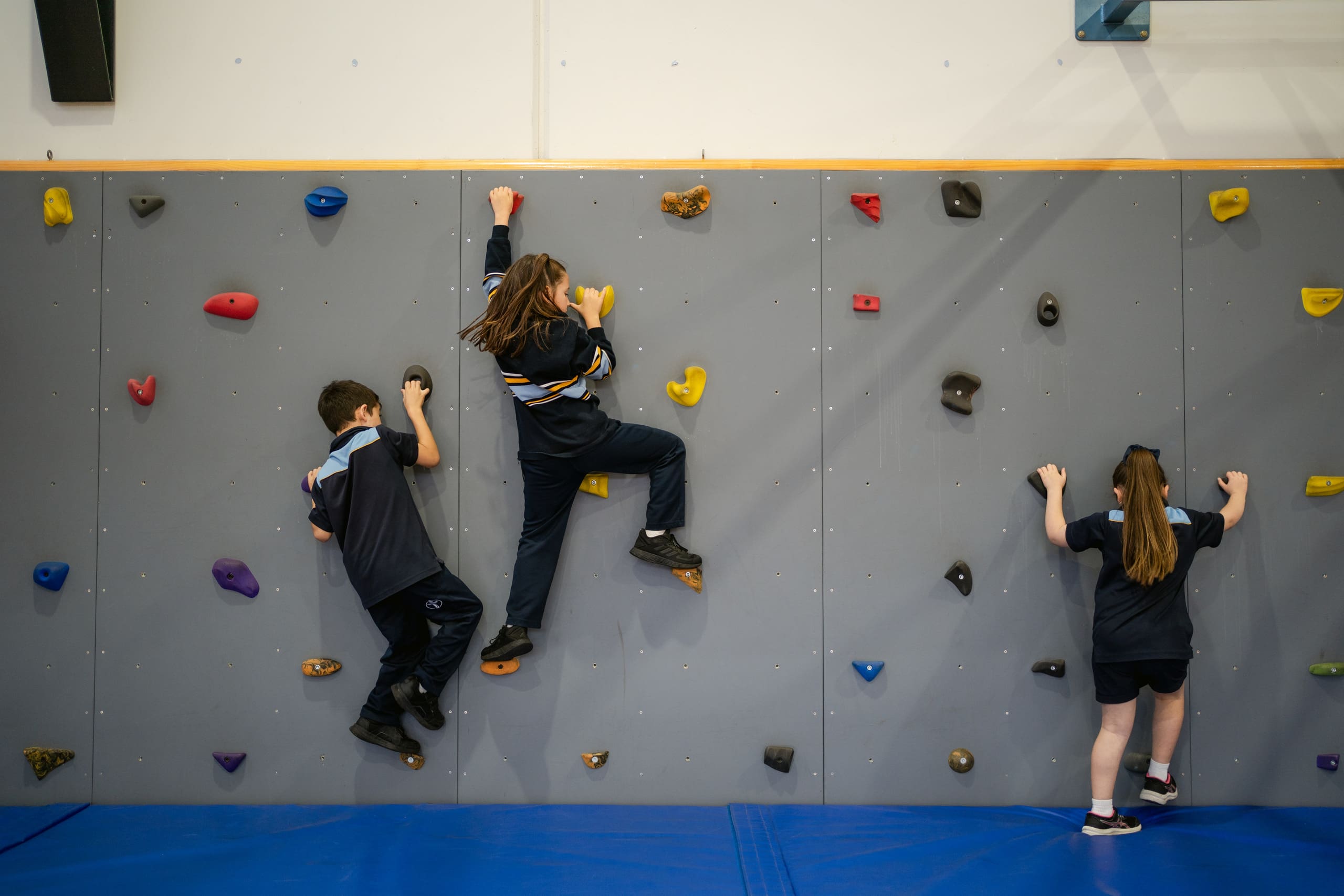 School students are using a bouldering wall in the school gym.