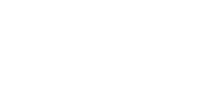 Transparent Imagination OSHC Logo