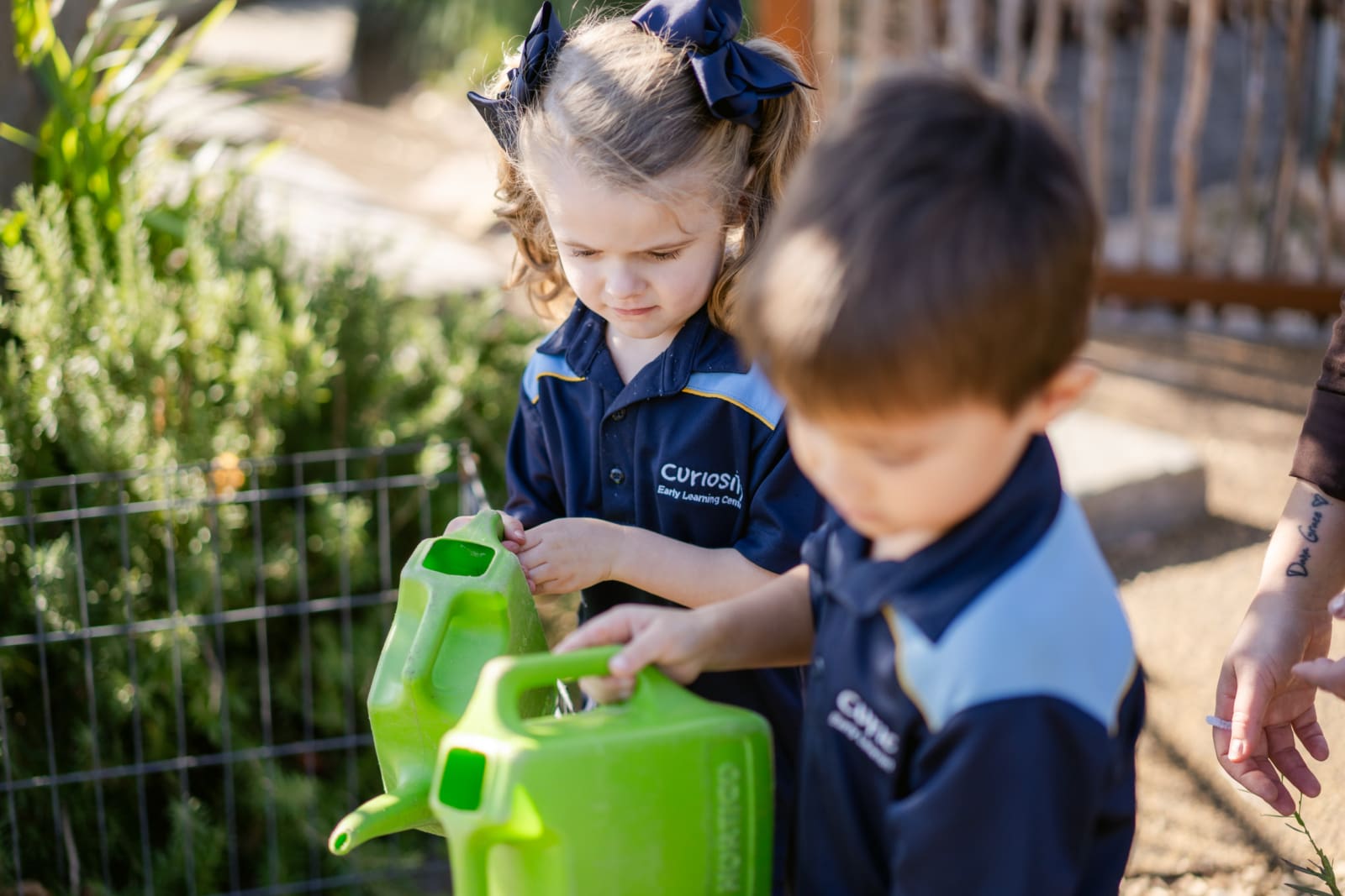 Two student of Curiosity Early Learning Centre are watering plants with small plastic green watering cans.