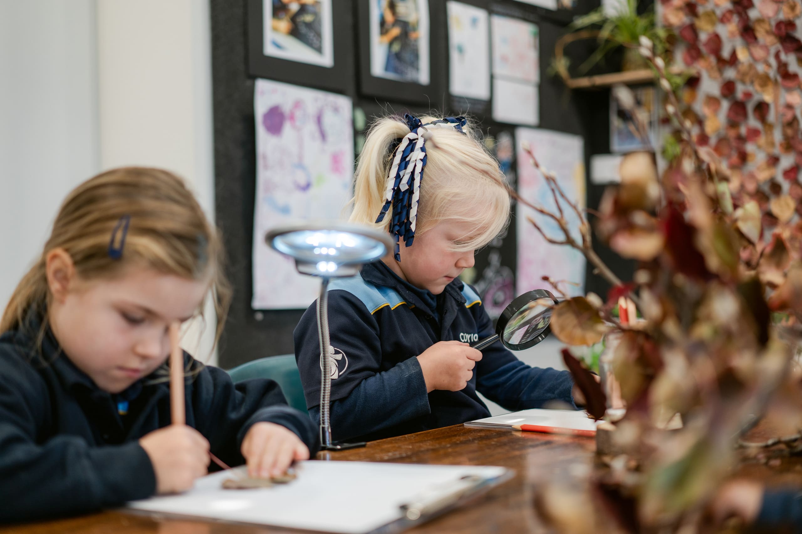 Two young students are sitting at a desk using magnifying glasses to look closely at leaves.