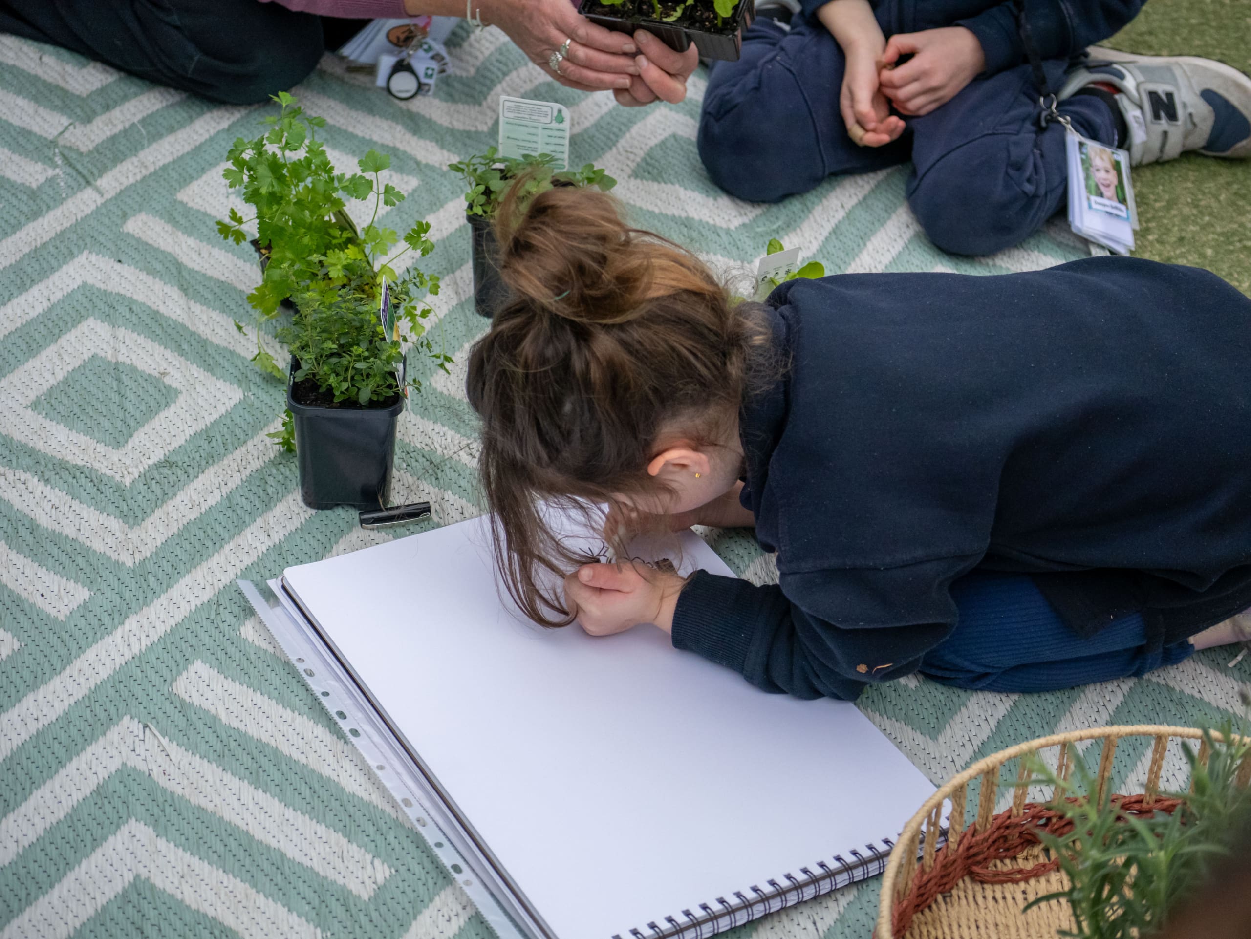 A young student of Curiosity ELC is on the ground drawing a life still of a plant.
